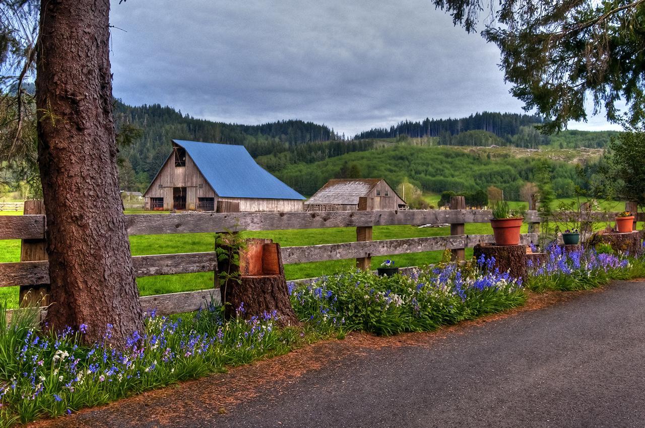 Miller Tree Inn Forks Zewnętrze zdjęcie