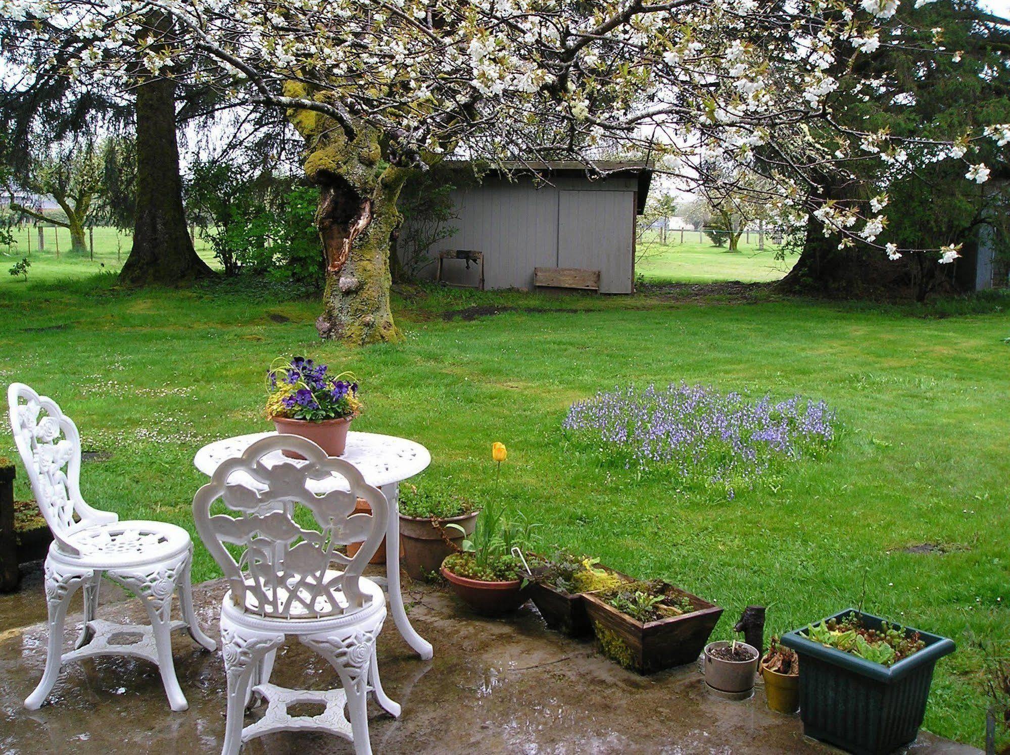 Miller Tree Inn Forks Zewnętrze zdjęcie