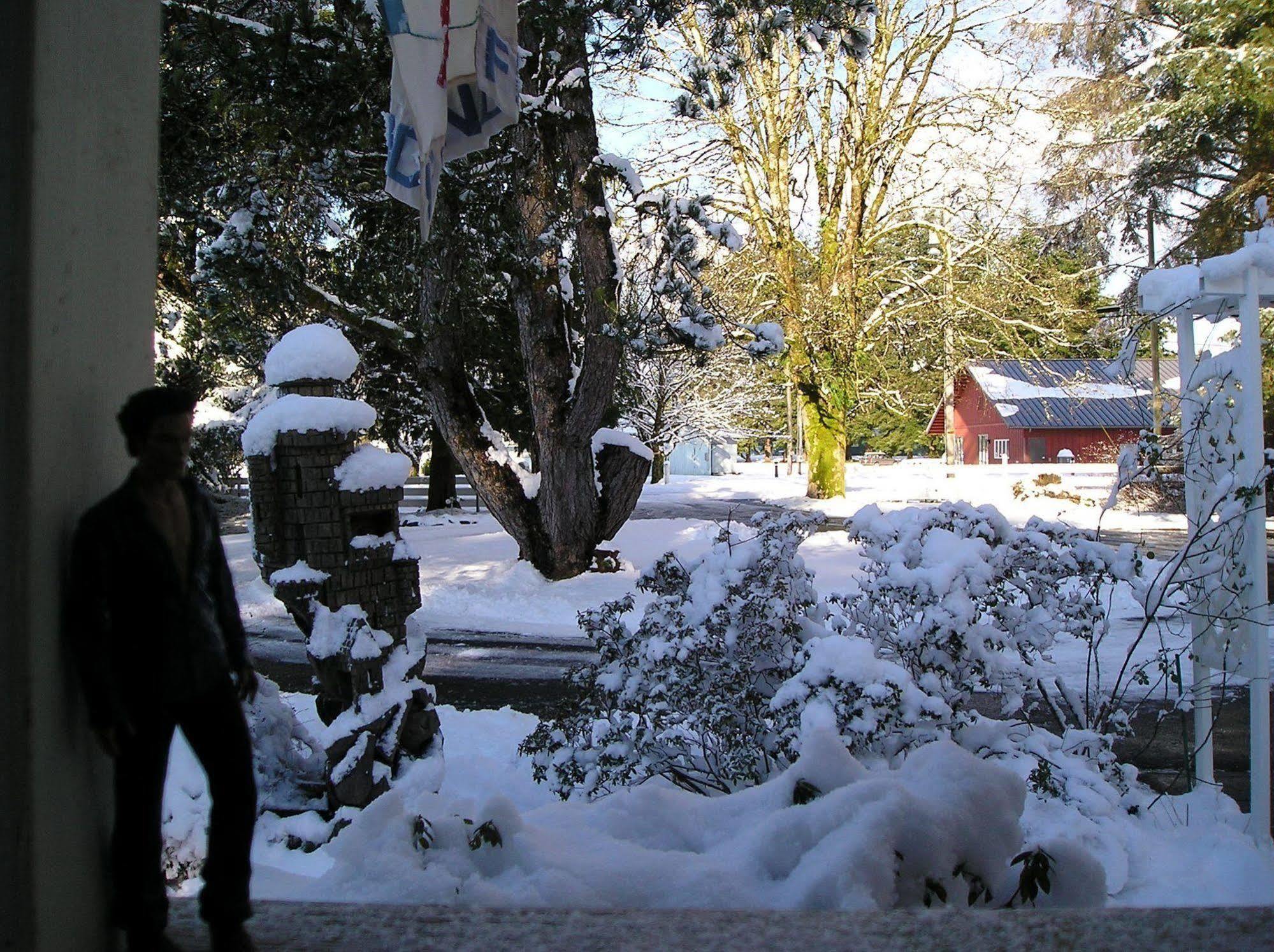 Miller Tree Inn Forks Zewnętrze zdjęcie
